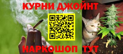 мяу мяу мука Ижевск